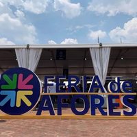 Afores pierden 82 mil millones de pesos por pandemia de covid-19