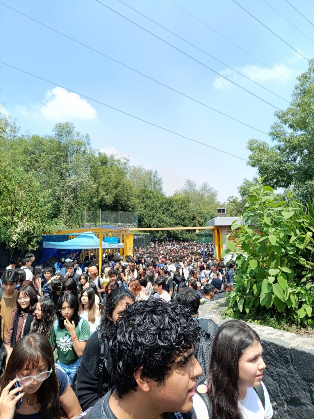 estudiantes desalojados okis