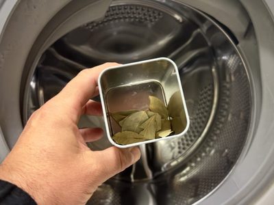 La planta que tenés que poner dentro del lavarropas para cuidar y perfumar tus prendas