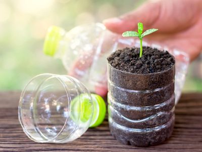 No tires la botella de Gatorade y reutilízala en esta increíble maceta para tus plantas