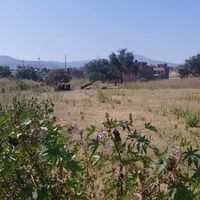 Acribillan a cuatro que convivían bajo un árbol en Moroleón, Guanajuato