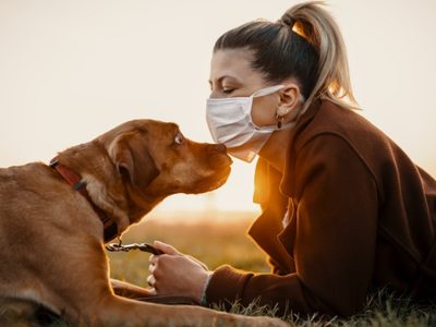 Buscan crear un día de adopción responsable de animales