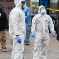 Reino Unido notifica el primer caso humano confirmado de gripe aviar tipo A (H5N1)