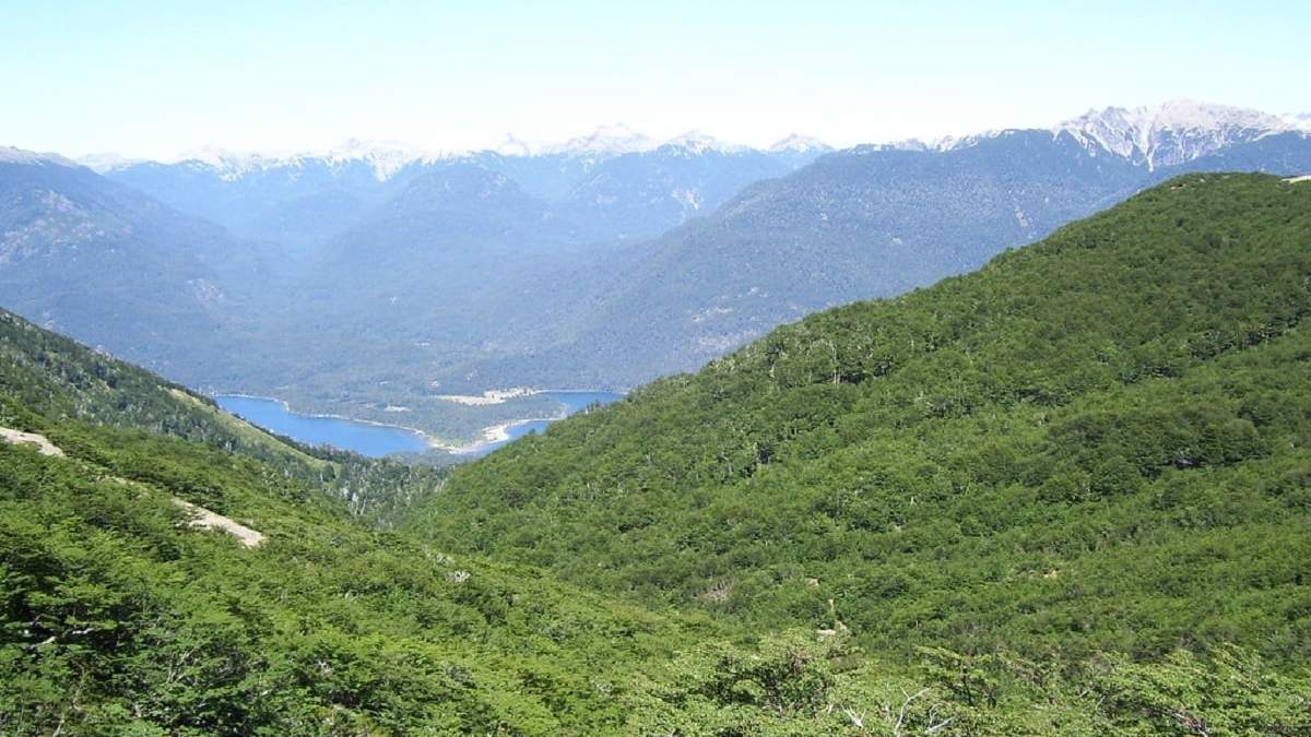 Cerro Mallo, en San Martín de los Andes. Fuente: (Twitter).