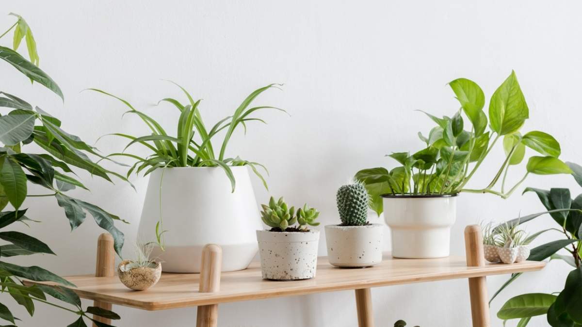 Decoración. Fuente: (Instagram)