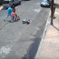 Detienen a agresor de una mujer que paseaba a su perro