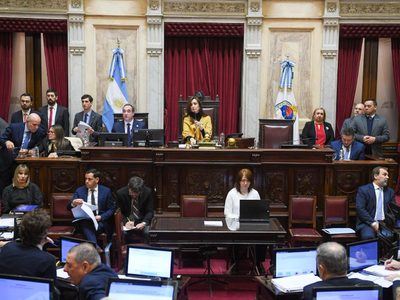 El Senado convirtió en ley el financiamiento universitario y los aumentos para el Hospital Garrahan