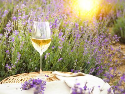 Vino con lavanda, una propuesta saludable