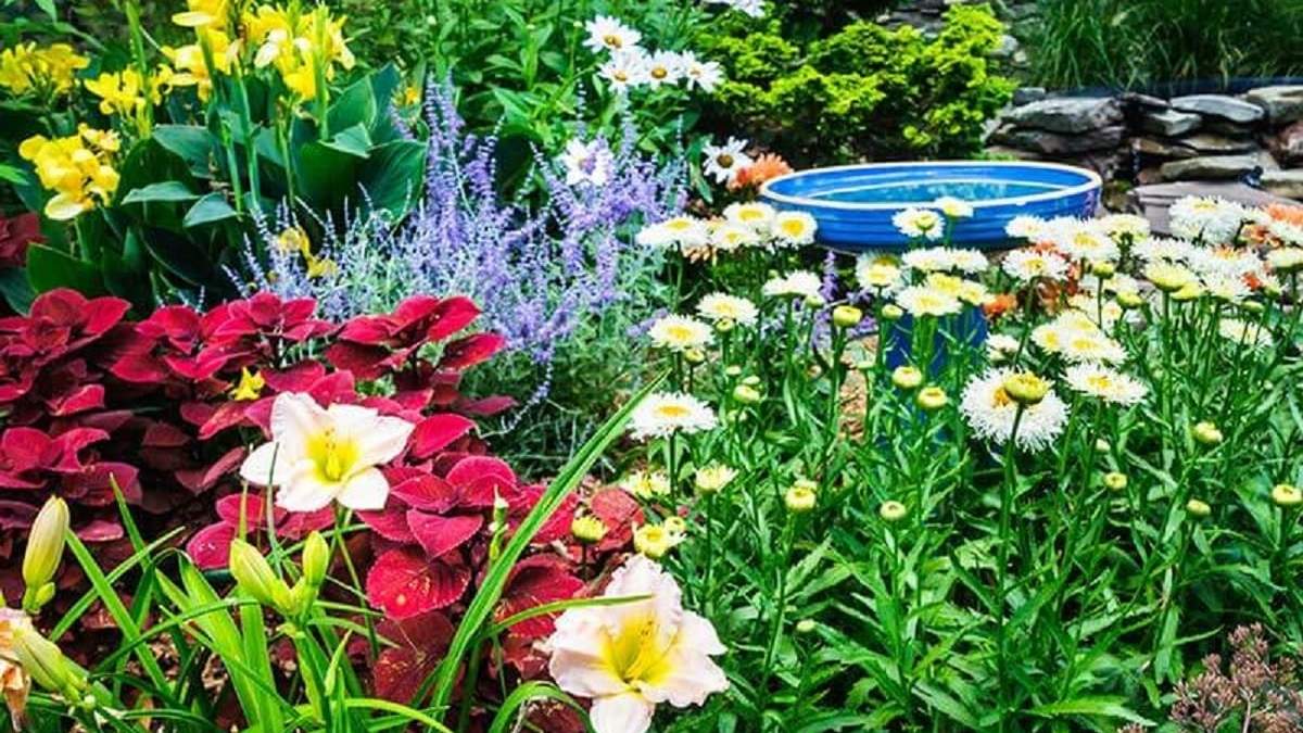Plantas. Fuente: (X)