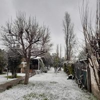 Nieve en Mendoza: así está la provincia