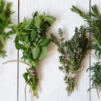 4 plantas medicinales que no pueden faltar en un botiquín básico