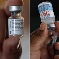 Cofepris autoriza la venta de vacunas de Pfizer y Moderna contra covid-19