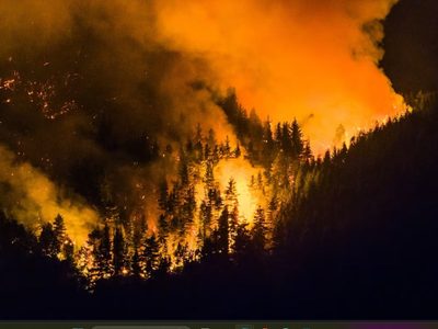 Incendios en la Patagonia: piden declarar la emergencia ambiental en las zonas afectadas por el fuego