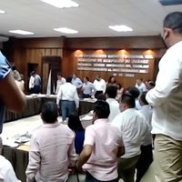 Así cayó un mapache en reunión del ayuntamiento de Acapulco (Videos)