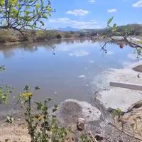 Por daños ambientales piden en Oaxaca retiro de granja porcina