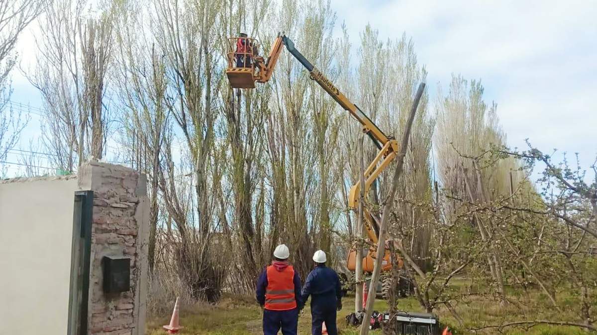Podaron alamedas en el aeropuerto. Fuente: (Neuquén Informa)