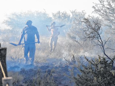 Dan nuevas precisiones respecto del incendio cercano a Río Colorado
