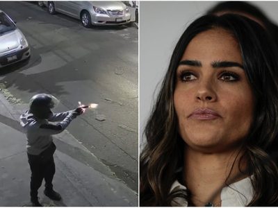FGJCDMX: Atentado contra Alessandra Rojo de la Vega pudo haber sido un montaje