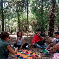Baños de bosque, la técnica japonesa de relajación que llegó a Argentina