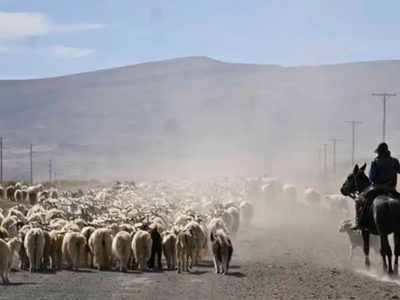 Así planea Neuquén enfrentar la sequía y mitigar los efectos sobre la producción
