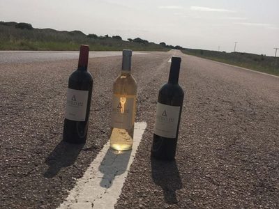 Crece un proyecto vitivinícola en General Acha