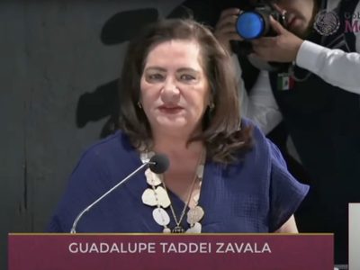 Taddei defiende a los OPLE, en riesgo por la reforma electoral