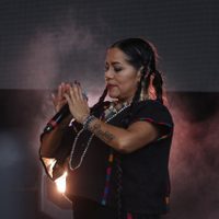 Alemán, Café Tacvba y Lila Downs, brillan en el primer día del Vive Latino