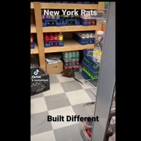 Captan a rata gigante en una tienda de Nueva York (Video)