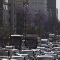Continúa la Contingencia Ambiental en la CDMX y Edomex; habrá nuevo informe a las 20:00 horas