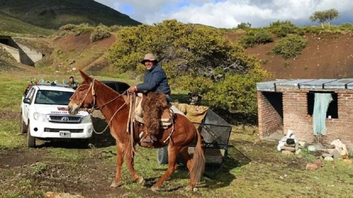 El perro del criancero se desplazaba junto a un niño de 7 años y su familia. Fuente: (Gobierno de Neuquén)