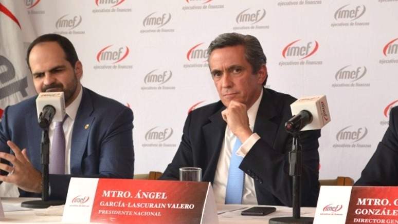 Integrantes del IMEF