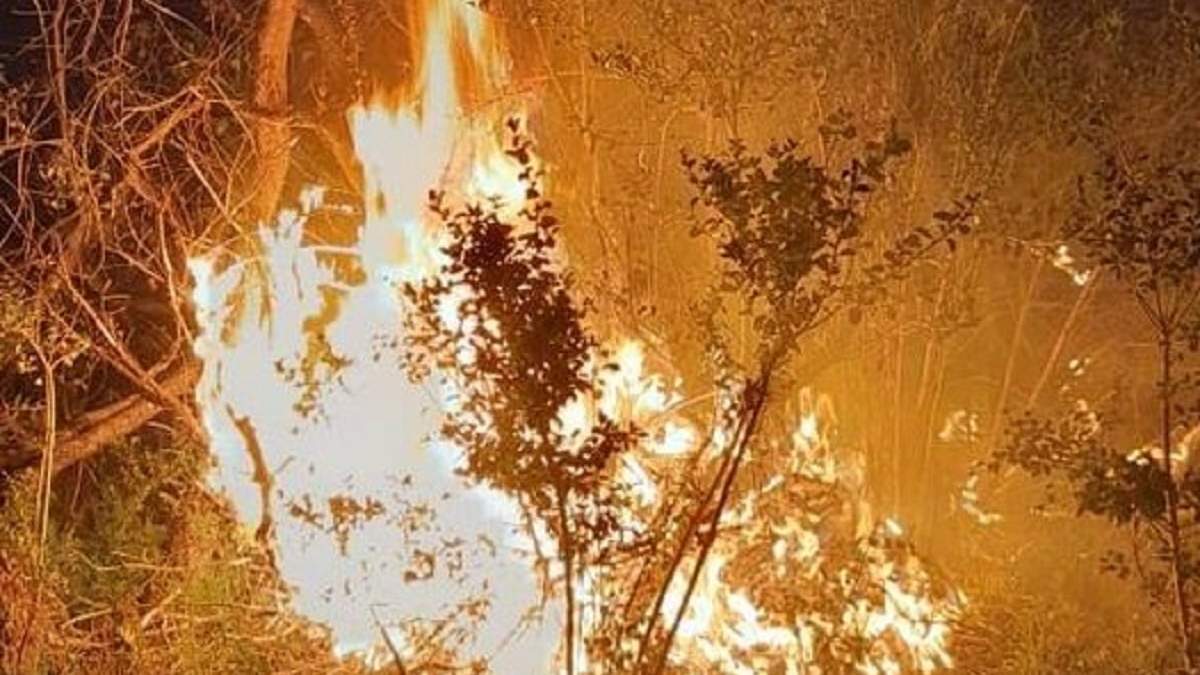 El incendio en Cuesta del Ternero está descontrolado. Fuente: (SPLIF El Bolsón).