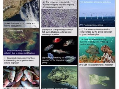 Conoce cuáles son la 15 amenazas a la biodiversidad marina y costera