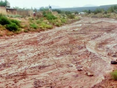 Milagro en Rincón de los Sauces ¡Fotos increíbles!