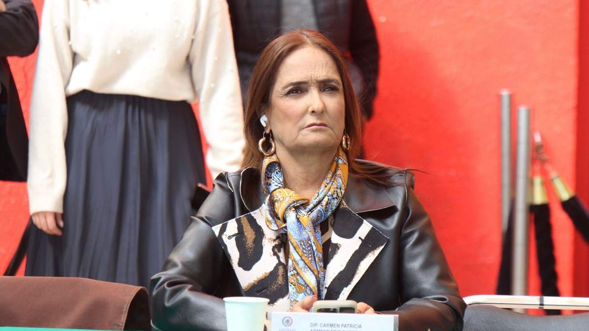 La diputada Armendáriz