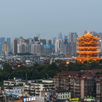 Finalmente, la comisión investigadora sobre el origen del coronavirus llegará a China: cuándo será