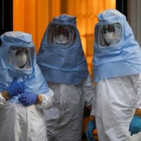 Nuevo pico de contagios: se reportaron más de 340 casos de coronavirus