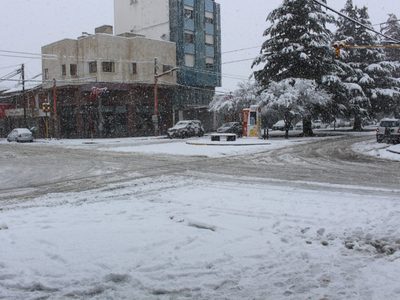 Pandemia, cuarentena y temporal de nieve: letal para los comercios de Zapala