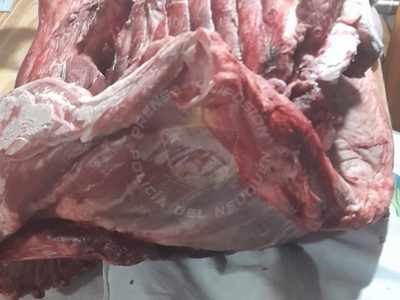 Robaron y faenaron un ternero: vendían la carne en redes sociales