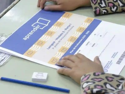 Pruebas Aprender: en lectura, el Gobierno festeja y expertos cuestionan