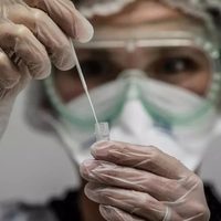 Una nueva cepa de coronavirus llegó a la Argentina: de cuál se trata
