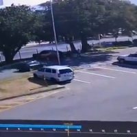 Captan asesinato de "Mr Big", el mayor cazador furtivo de rinocerontes en Sudáfrica