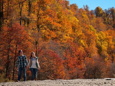 Otoño en Neuquén: planes y escapadas para vivir la temporada al máximo