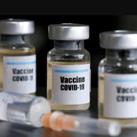 Probarán una vacuna contra el coronavirus en Argentina