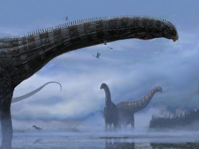 Los dinosaurios podrían haber tenido infecciones respiratorias: hallaron pruebas en restos fósiles