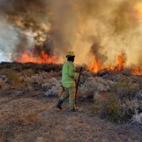 El COFEMA declaró de interés una medida que tiene como objetivo prevenir los incendios en Neuquén