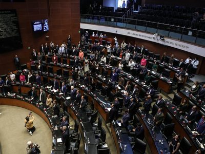 El Senado aprueba a los nuevos integrantes del Consejo Nacional de Búsqueda