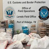 Incautan más de 160 reptiles y artrópodos a conductor en puente fronterizo Anzaldúas a Reynosa