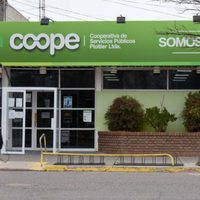 Contaminación con PCB: pedirán la intervención de la Cooperativa de Plottier