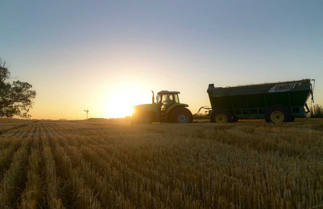 SECTOR AGRICOLA